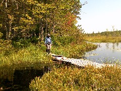 Dan Dorrough; bridge; IAT; Langlade County Arboretum, WI